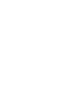 Marcela Pizzinatto